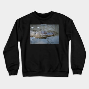 South Padre Island Alligator Crewneck Sweatshirt